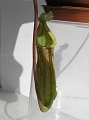 P3183488
