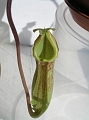 P3183492