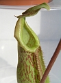 P3183499
