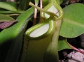 P3183662