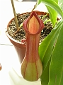 P7070724