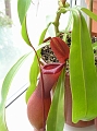 P7070727