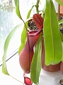 P7070728