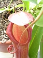 P7070729