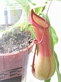 P7070809
