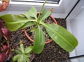 P7100984