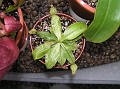 P7100987