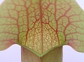 P3183277