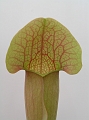 P3183278