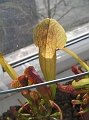 P3183297