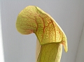 P3183309