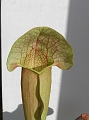 P3183313