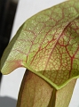 P3183317