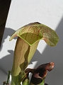 P3183318