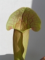 P3183320
