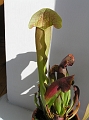P3183323