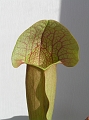 P3183325