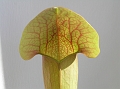P3183326