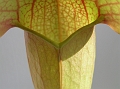 P3183329