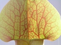 P3183330