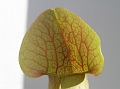 P3183331