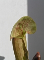 P3183334