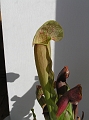 P3183336
