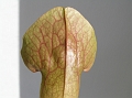 P3183339