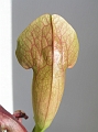 P3183341