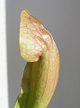 P3183342