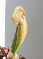 P3183343