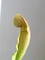 P3183344