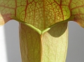 P3183347