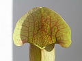 P3183348
