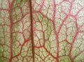 P3183351