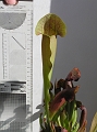 P3183355