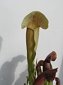 P3183520