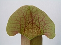 P3183566