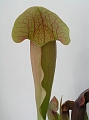 P3183568
