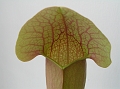 P3183570