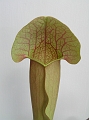 P3183573
