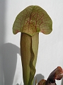 P3183576