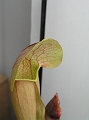 P3183607