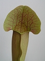 P3183613