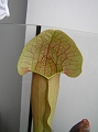 P3183704