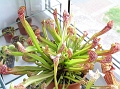 P7070760