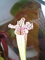 P7070765