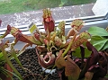 P7100983